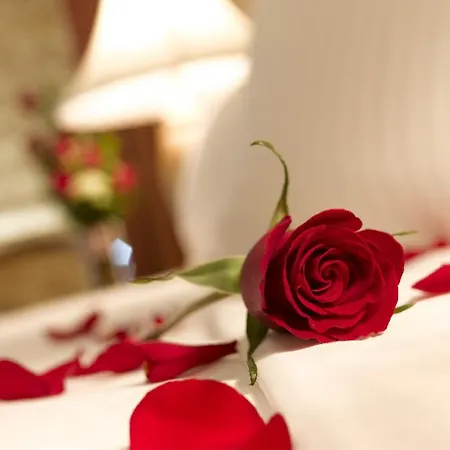Zamecky Hotel 3*