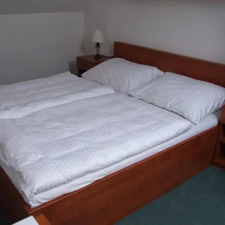 Hotel Zamecky 3*