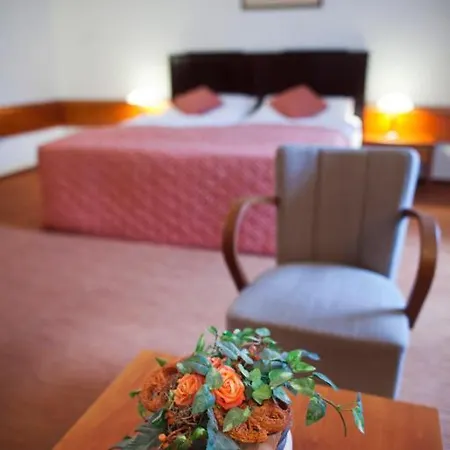 Hotel Zamecky Třešť