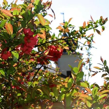 Zamecky Hotel Třešť